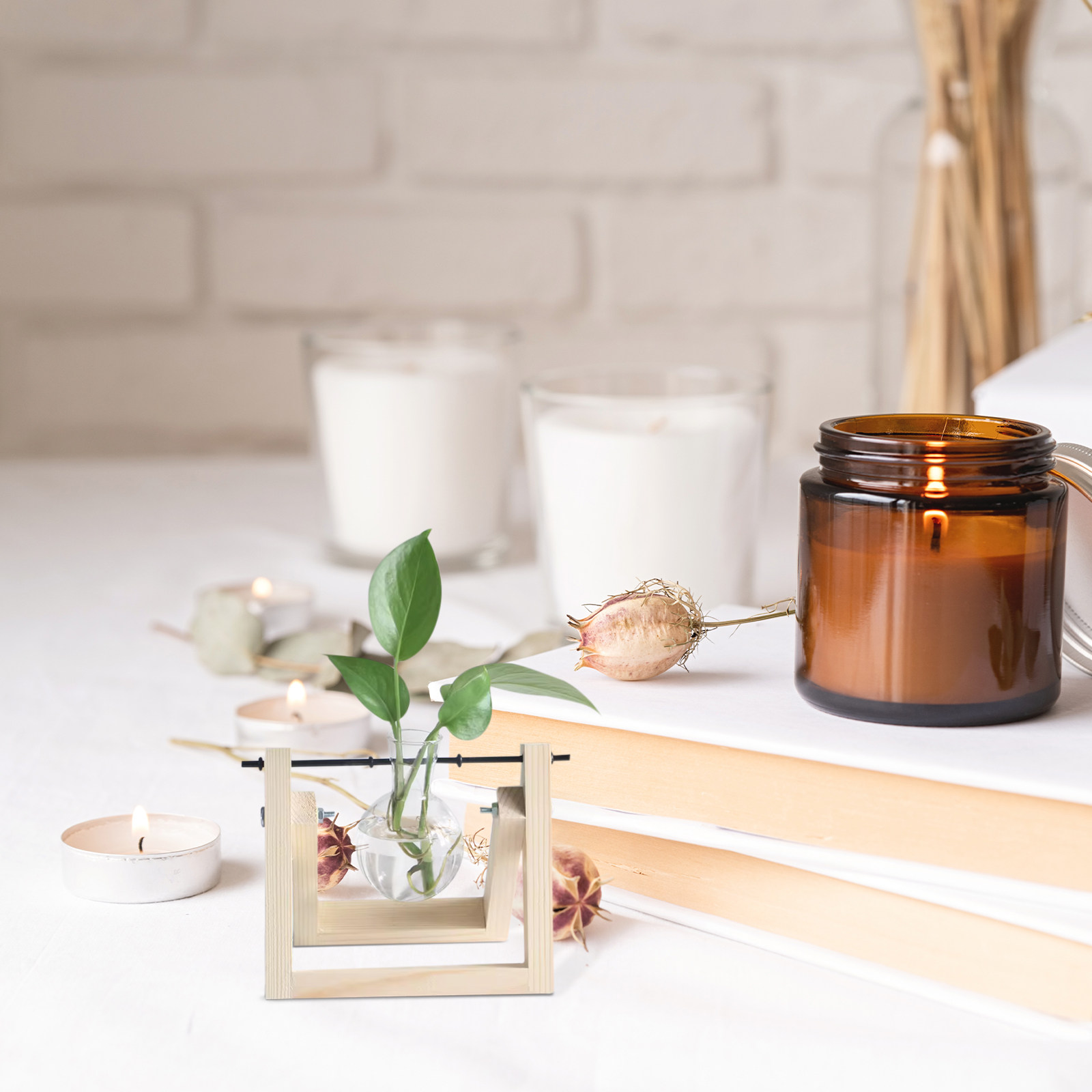 Propagation Station Vase - 10 Adet Hidroponik Bitki Vazosu, Demir