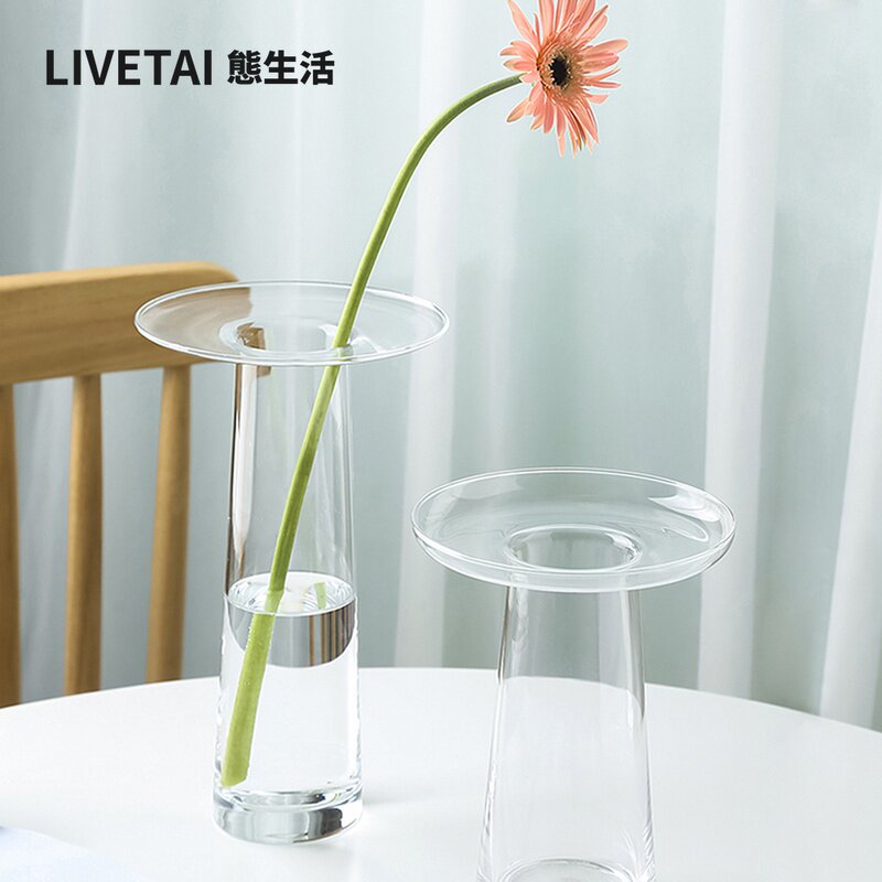 LIVETAI Şeffaf T Şeklinde Hidr - Propagation Station Vase incelemesi ve fiyatı