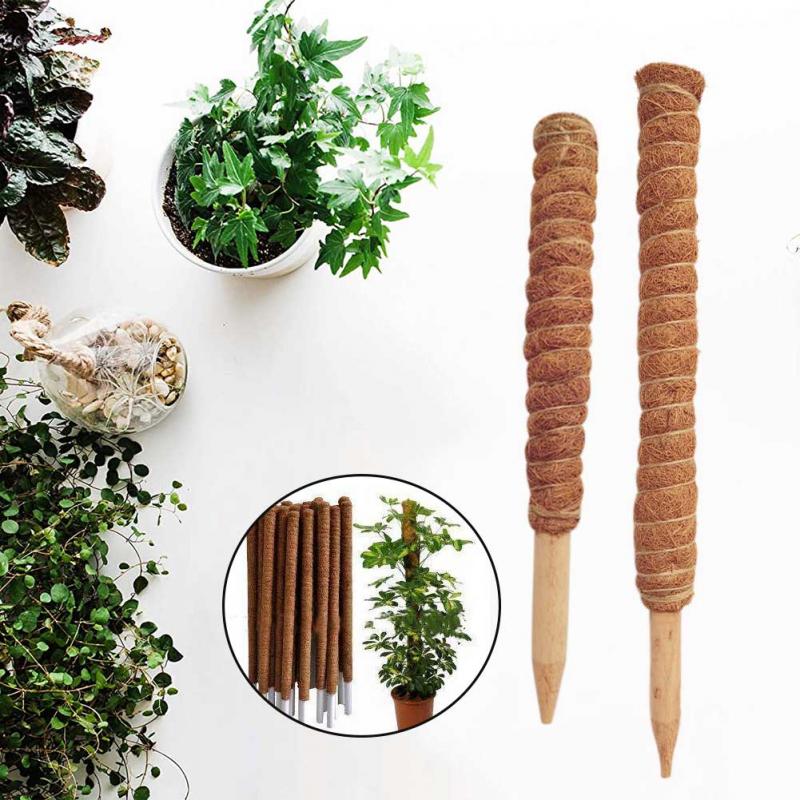 30/40/50cm bitki tırmanma Hind - Sphagnum Moss Dry incelemesi ve fiyatı