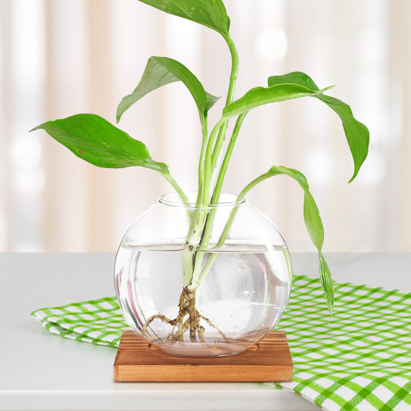 Ahşap Tabanlı Cam Hidroponik V - Propagation Station Vase incelemesi ve fiyatı